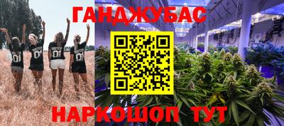 стаф Абинск